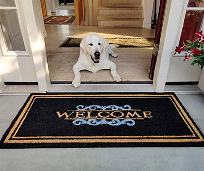 coco mats and dog
