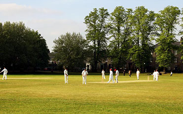 Cricket mats